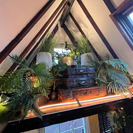 The Smallest In Hotel *