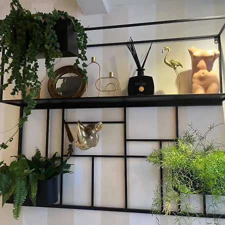 The Smallest In Hotel *